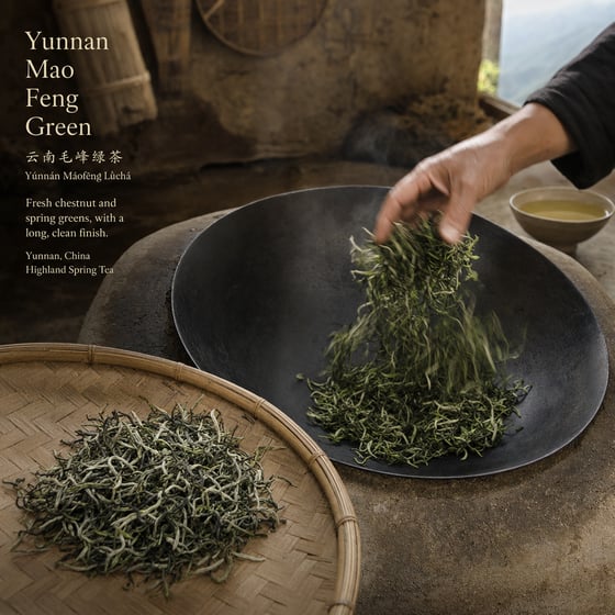 Yunnan Mao Feng Green Tea