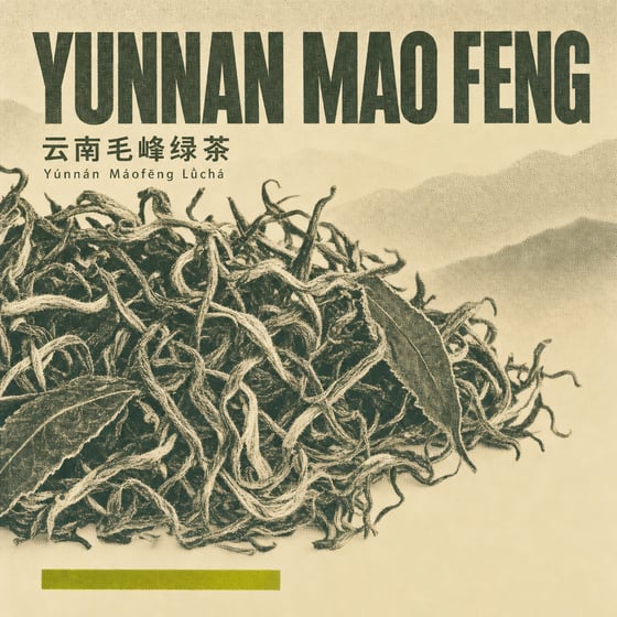 Yunnan Mao Feng Green Tea