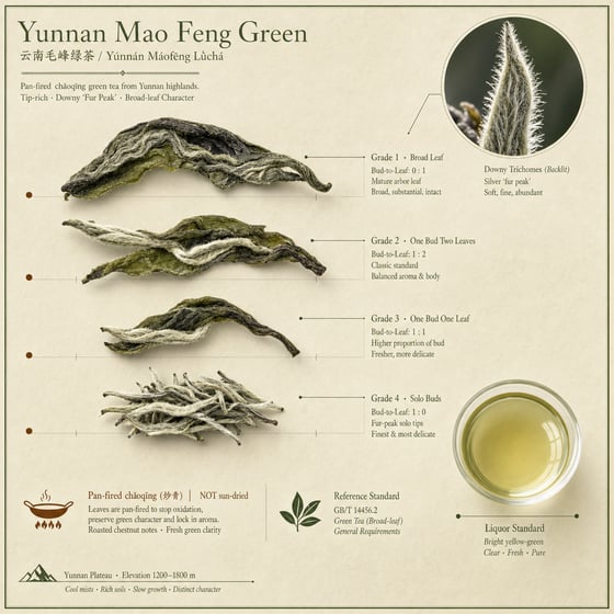 Yunnan Mao Feng Green Tea