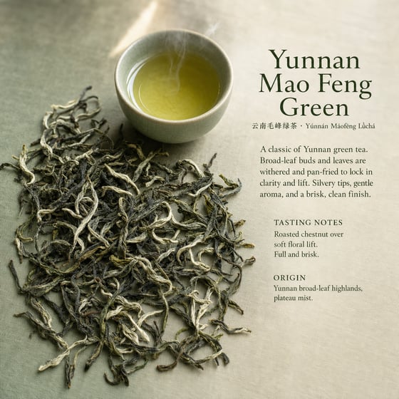Yunnan Mao Feng Green Tea