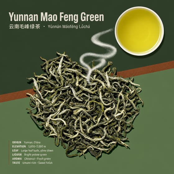 Yunnan Mao Feng Green Tea