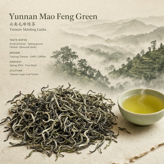 Yunnan Mao Feng Green Tea
