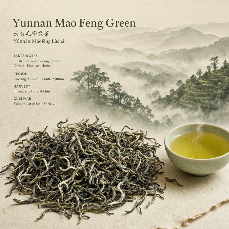 The design — Yunnan Mao Feng Green Tea