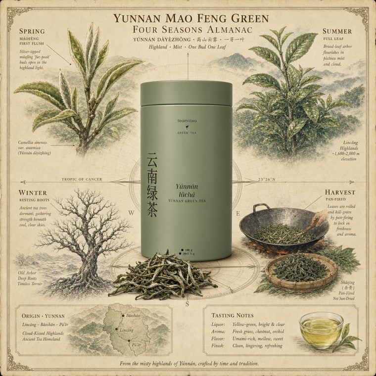 The design — Yunnan Mao Feng Green Tea