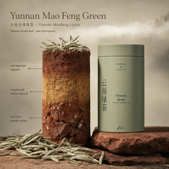 Yunnan Mao Feng Green Tea
