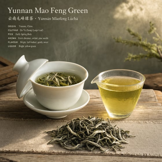 Yunnan Mao Feng Green Tea