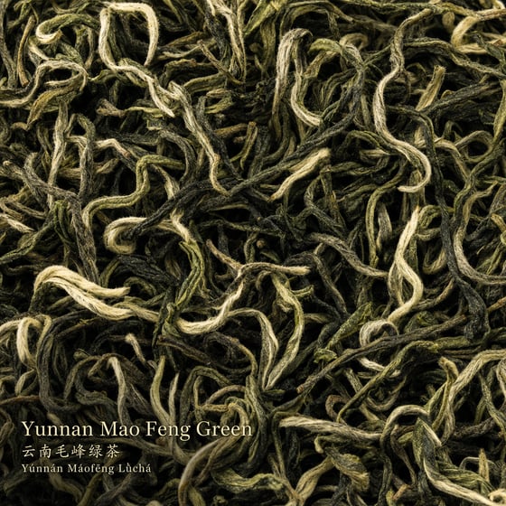 Yunnan Mao Feng Green Tea