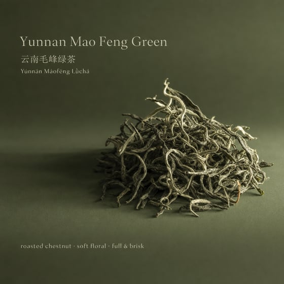 Yunnan Mao Feng Green Tea