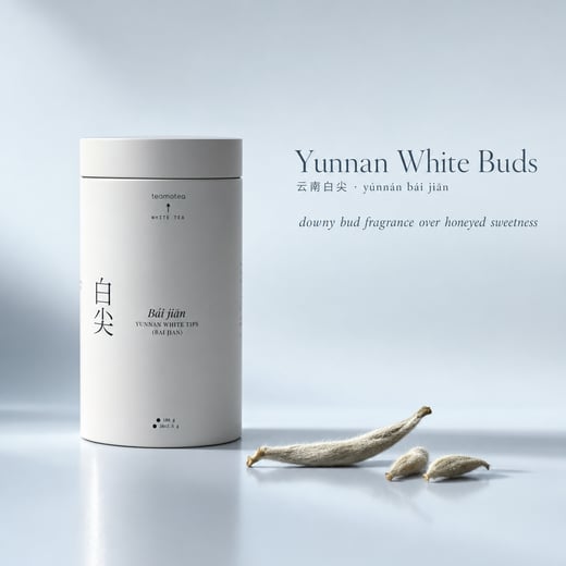 Wear — Bái Jiān