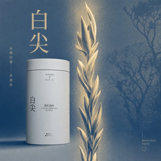 Wear — Bái Jiān