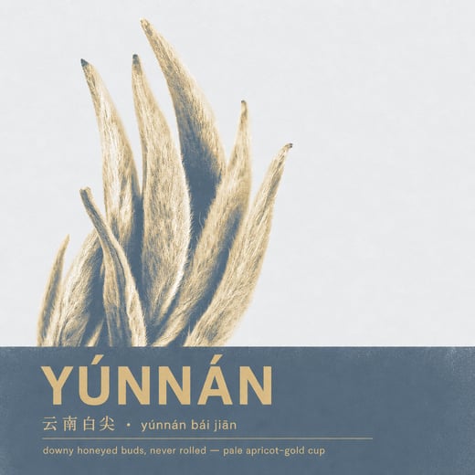 Wear — Bái Jiān