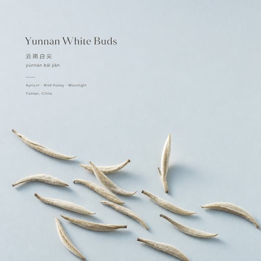 Wear — Bái Jiān