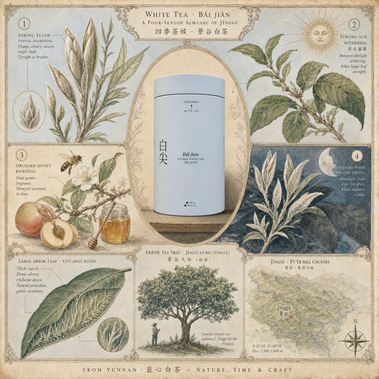 White tea