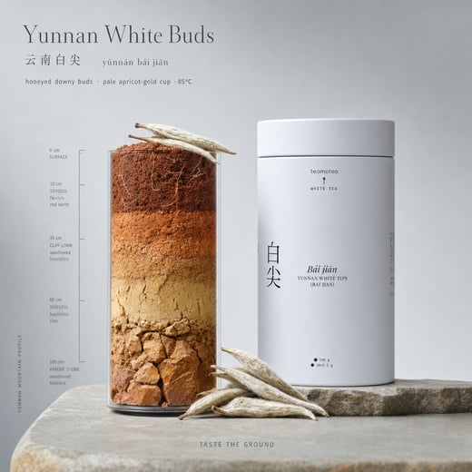 Wear — Bái Jiān