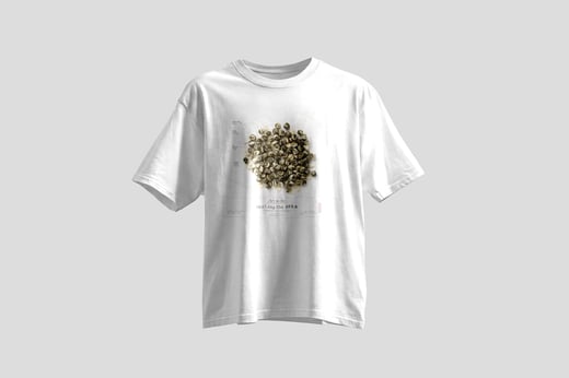 Wear — Mòlì Lǒng Zhú