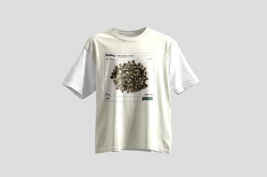 Wear — Mòlì Lǒng Zhú