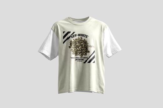 Wear — Mòlì Lǒng Zhú