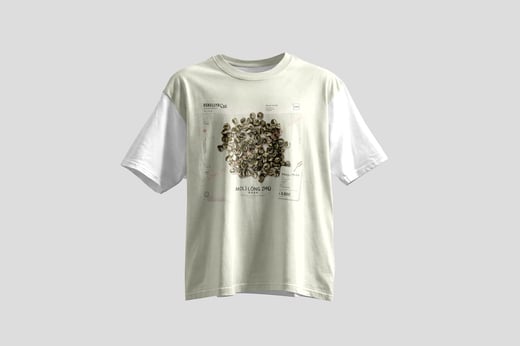 Wear — Mòlì Lǒng Zhú