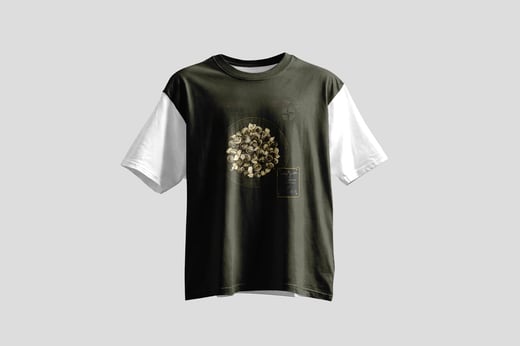 Wear — Mòlì Lǒng Zhú