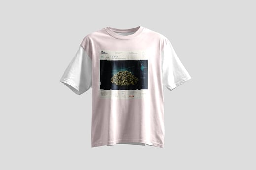 Wear — Nǎi Xiāng Oolong
