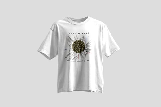 Wear — Nǎi Xiāng Oolong