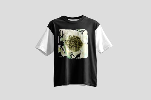 Wear — Nǎi Xiāng Oolong