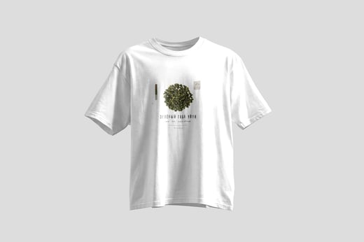 Tee — Green GABA Oolong