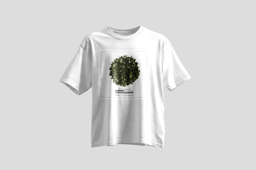Tee — Fruity Tie Guan Yin