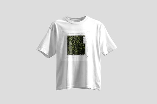 Tee — Fruity Tie Guan Yin