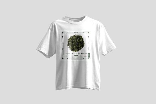 Tee — Fruity Tie Guan Yin