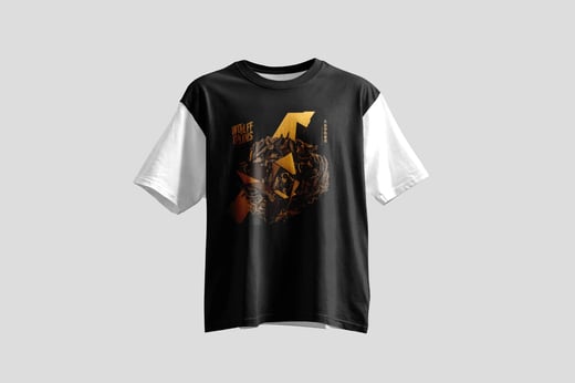 Wear — Da Jin Ya Shu Pu-erh