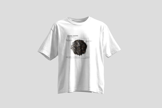 Tee — Zhèngshān Xiǎozhǒng