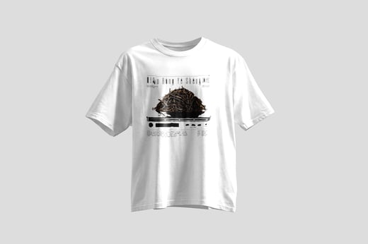 Wear — Diān Hóng Yě Shēng