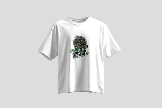 Tee — Yunnan Mao Feng Green Tea