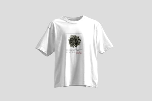 Tee — Yunnan Mao Feng Green Tea