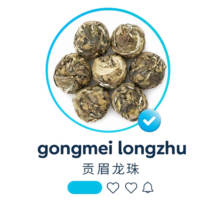 The design — Gòng Méi
