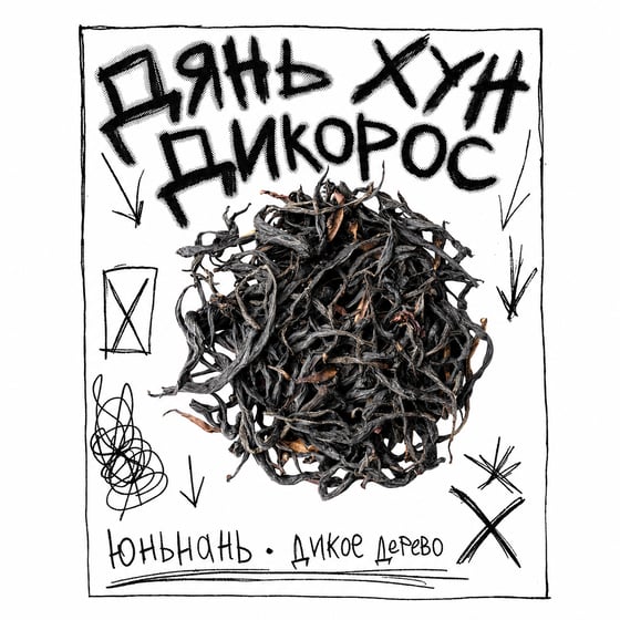 Diān Hóng Yě Shēng