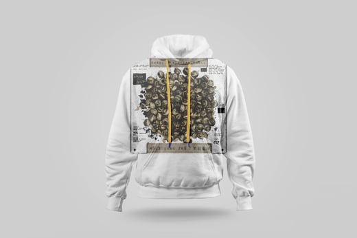 Hoodie — Mòlì Lǒng Zhú