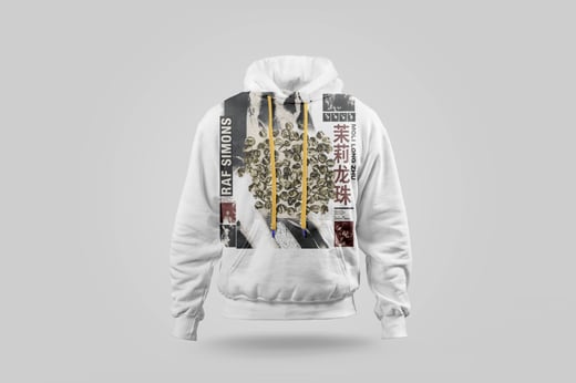 Hoodie — Mòlì Lǒng Zhú
