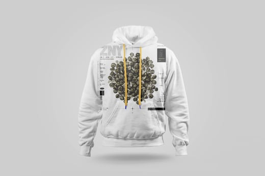 Hoodie — Mòlì Lǒng Zhú