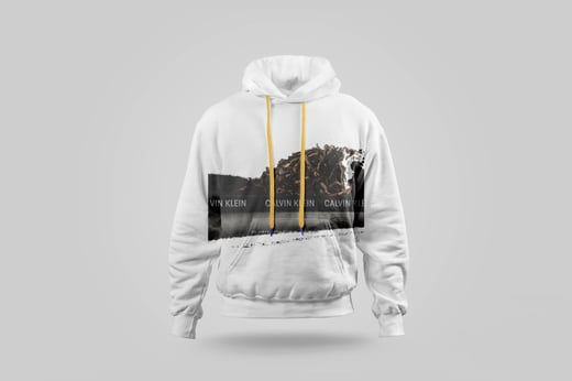 Hoodie — Da Jin Ya Shu Pu-erh