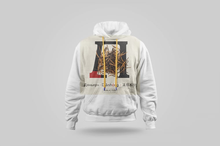 Hoodie — Diān Hóng Sòng Zhèn