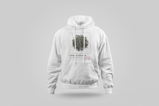 Hoodie — Yunnan Mao Feng Green Tea