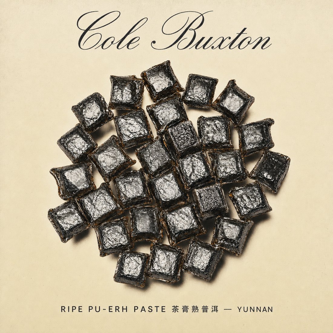 Squares of pressed ripe pu-erh photographed from above on cream paper, under a long black copperplate script logotype