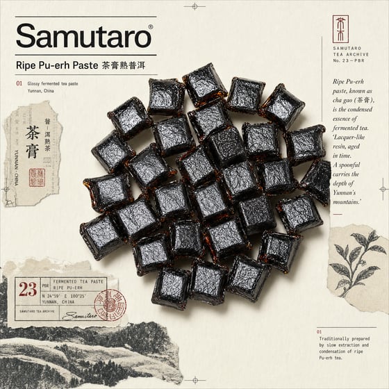 Ripe Pu-erh Paste