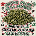 Cactus Plant Flea Market tea study