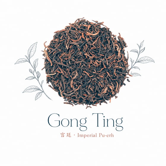 Gong Ting Pu-erh
