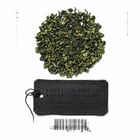 Carol Christian Poell tea study — 7 of 34 teas