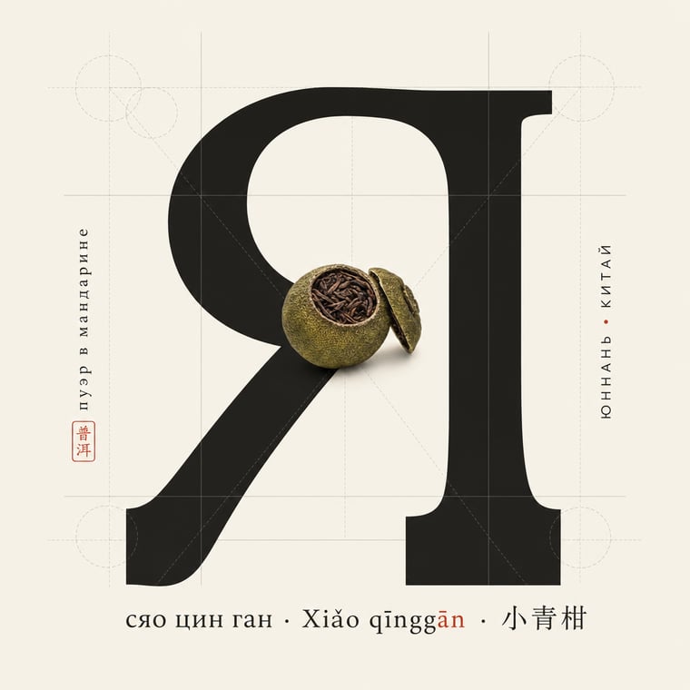 The design — Gān Jiě Chá