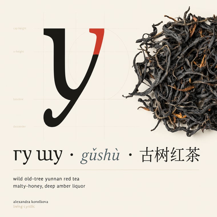 The design — Diān Hóng Yě Shēng